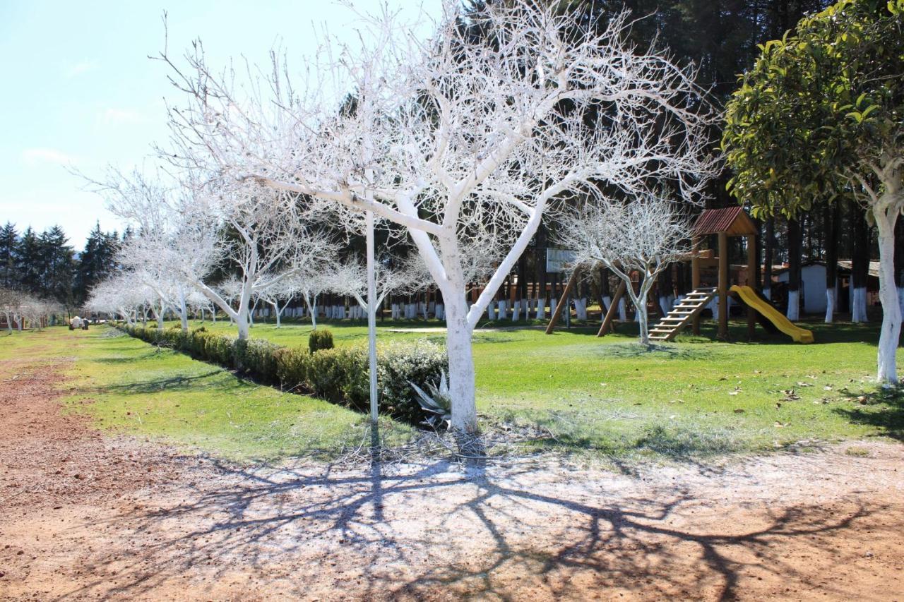 Cabanas Rancho El Mayab Zacatlán Eksteriør billede