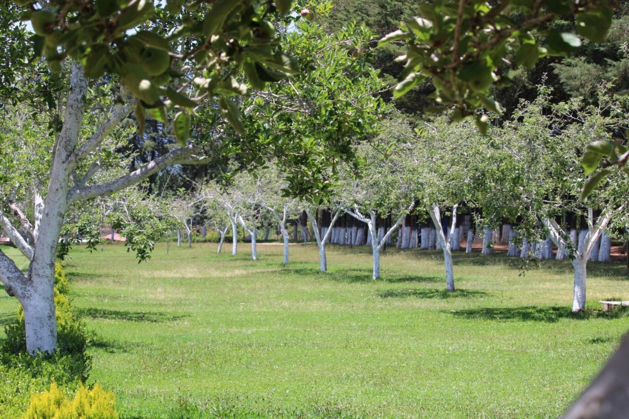 Cabanas Rancho El Mayab Zacatlán Eksteriør billede