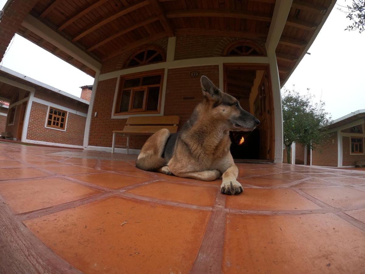 Cabanas Rancho El Mayab Zacatlán Eksteriør billede