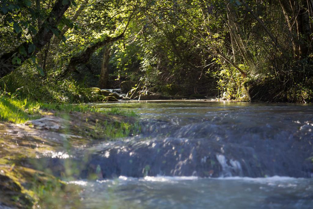 Cabanas Rancho El Mayab Zacatlán Eksteriør billede
